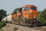 BNSF U Train 3865 East